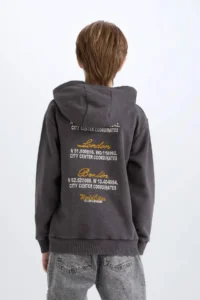 DeFacto Boy's Hooded Back Printed Sweatshirt