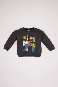 DeFacto Baby Boy Crew Neck Printed Soft Lined Sweatshirt