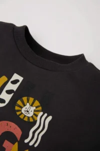 DeFacto Baby Boy Crew Neck Printed Soft Lined Sweatshirt - Image 2