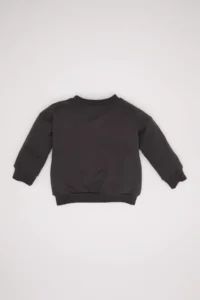 DeFacto Baby Boy Crew Neck Printed Soft Lined Sweatshirt - Image 4