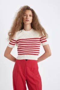 DeFacto Slim Fit Narrow Cut Striped Crew Neck Short Sleeve Knitwear Sweater D4619ax24au - Image 3