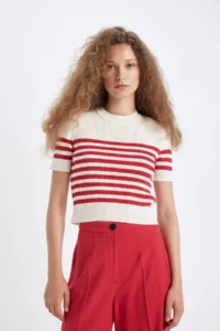 DeFacto Slim Fit Narrow Cut Striped Crew Neck Short Sleeve Knitwear Sweater D4619ax24au - Image 5