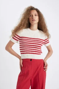 DeFacto Slim Fit Narrow Cut Striped Crew Neck Short Sleeve Knitwear Sweater D4619ax24au - Image 6