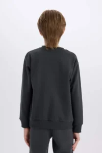 DeFacto Stranger Things Crew Neck Sweatshirt Boy - Image 6