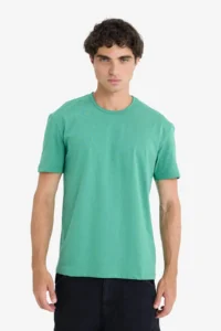 DeFacto 100% Cotton Heavy Material T-Shirt - Image 3