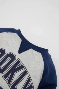 DeFacto Baby Boy Crew Neck Printed Soft Lined Sweatshirt - Image 2