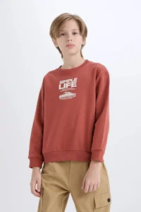 DeFacto Brick Rejection Boys' Sweatshirt D6209A8/BN536