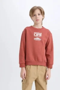 DeFacto Brick Rejection Boys' Sweatshirt D6209A8/BN536 - Image 3