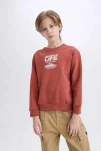 DeFacto Brick Rejection Boys' Sweatshirt D6209A8/BN536 - Image 4