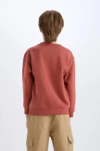 DeFacto Brick Rejection Boys' Sweatshirt D6209A8/BN536 - Image 6