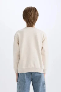 DeFacto Boy's Crew Neck Printed Sweatshirt - Image 6