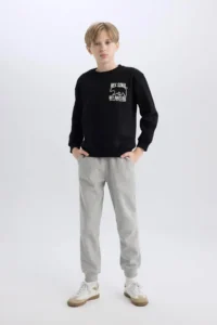 DeFacto Crew Neck Back Printed Soft Lined Sweatshirt Boy - Image 2