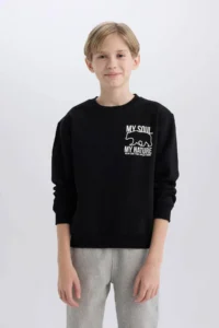 DeFacto Crew Neck Back Printed Soft Lined Sweatshirt Boy - Image 3