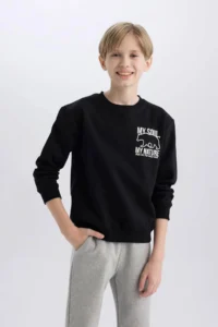 DeFacto Crew Neck Back Printed Soft Lined Sweatshirt Boy - Image 4