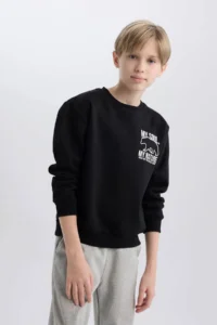 DeFacto Crew Neck Back Printed Soft Lined Sweatshirt Boy - Image 5