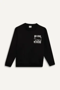 DeFacto Crew Neck Back Printed Soft Lined Sweatshirt Boy - Image 7