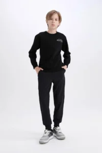 DeFacto Avatar the Last Airbender Crew Neck Soft Furry Back Printed Sweatshirt Boy D6742A - Image 2