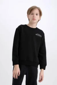 DeFacto Avatar the Last Airbender Crew Neck Soft Furry Back Printed Sweatshirt Boy D6742A - Image 4