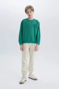 DeFacto Crew Neck Back Printed Sweatshirt Boy - Image 2