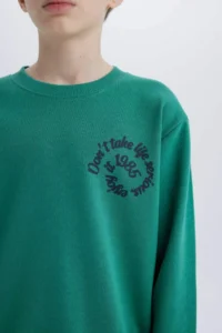 DeFacto Crew Neck Back Printed Sweatshirt Boy - Image 6
