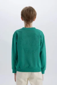 DeFacto Crew Neck Back Printed Sweatshirt Boy - Image 7
