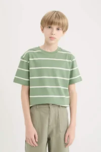 DeFacto Crew Neck Striped Short Sleeve T-Shirt Boy - Image 4