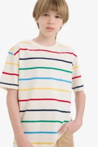 DeFacto Crew Neck Striped Short Sleeve T-Shirt Boy - Image 4