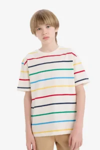 DeFacto Crew Neck Striped Short Sleeve T-Shirt Boy - Image 6