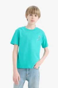 DeFacto Crew Neck Embroidered Short Sleeve T-Shirt Boy - Image 3