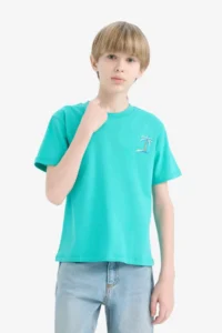 DeFacto Crew Neck Embroidered Short Sleeve T-Shirt Boy - Image 4