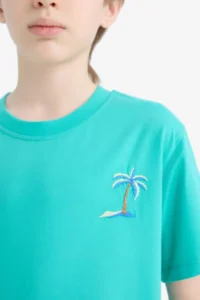 DeFacto Crew Neck Embroidered Short Sleeve T-Shirt Boy - Image 5