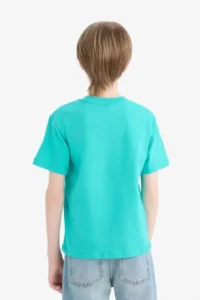 DeFacto Crew Neck Embroidered Short Sleeve T-Shirt Boy - Image 6