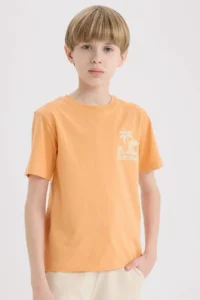 DeFacto Crew Neck Printed Short Sleeve T-Shirt Boy - Image 2