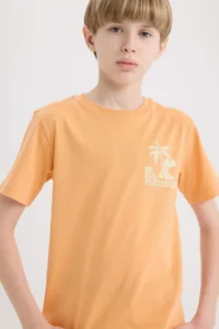 DeFacto Crew Neck Printed Short Sleeve T-Shirt Boy - Image 5