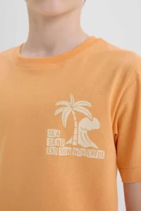 DeFacto Crew Neck Printed Short Sleeve T-Shirt Boy - Image 6