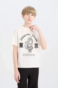 DeFacto Crew Neck Printed Short Sleeve T-Shirt Boy - Image 3