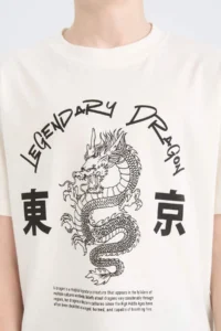 DeFacto Crew Neck Printed Short Sleeve T-Shirt Boy - Image 4