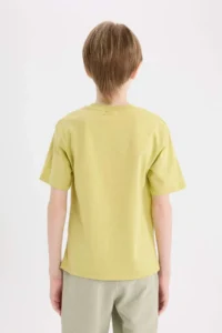 DeFacto Crew Neck Printed Short Sleeve T-Shirt Boy - Image 6