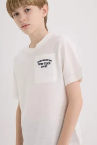 DeFacto Crew Neck Embroidered Pocket Printed Short Sleeve T-Shirt for Boys - Image 4