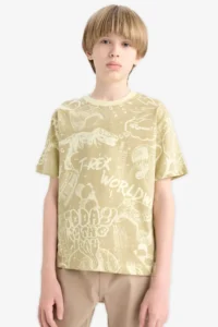 DeFacto Crew Neck Patterned Short Sleeve T-Shirt Boy - Image 3