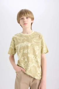 DeFacto Crew Neck Patterned Short Sleeve T-Shirt Boy - Image 4