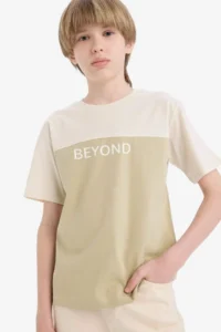 DeFacto Crew Neck Printed Short Sleeve T-Shirt Boy - Image 4