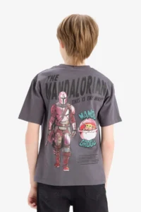 DeFacto Star Wars-Mandalorian Crew Neck Short Sleeve T-Shirt Boy - Image 8