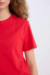 DeFacto Regular Fit Crew Neck Basic Plain Short Sleeve Red T-Shirt - Image 5