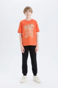DeFacto Crew Neck Printed Short Sleeve T-Shirt Boy - Image 2