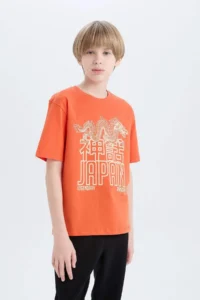 DeFacto Crew Neck Printed Short Sleeve T-Shirt Boy - Image 3