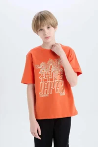 DeFacto Crew Neck Printed Short Sleeve T-Shirt Boy - Image 4