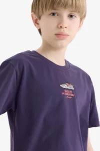 DeFacto Crew Neck Embroidered Short Sleeve T-Shirt Boy - Image 4