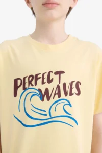 DeFacto Crew Neck Printed Short Sleeve T-Shirt Boy - Image 5
