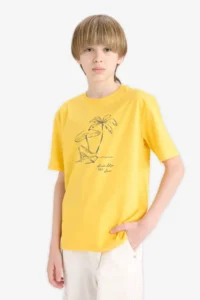 DeFacto Crew Neck Printed Short Sleeve T-Shirt Boy - Image 3
